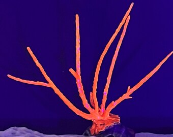 Large Orange UV Reactive Coral Reef Resin Decor - Blacklight Fish Tank Aquarium Terrarium Ornament - Glow in the Dark Decor