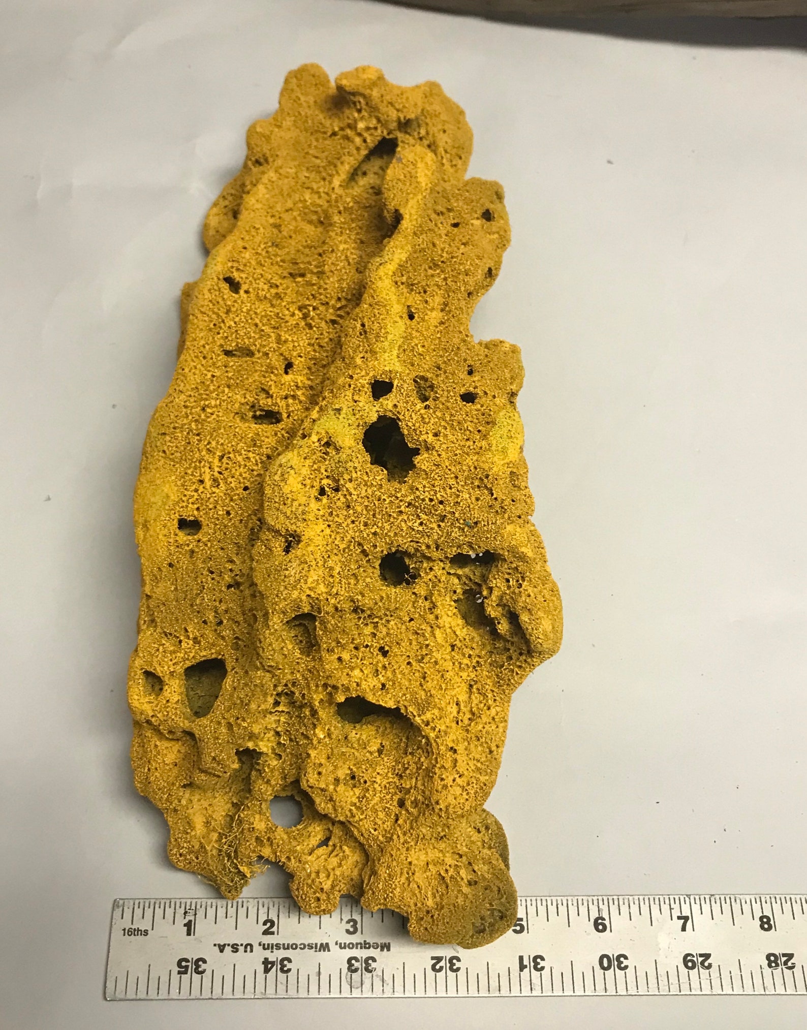 Colorful Sea Sponge Decor Coral Reef Decor Terrarium Decor Etsy