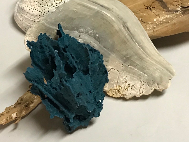 Teal Sea Sponge Decor Beach Decor Terrarium Decor Coral Etsy