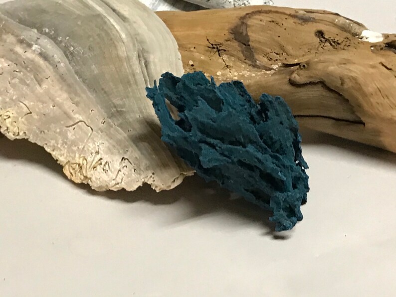Teal Sea Sponge Decor Beach Decor Terrarium Decor Coral Etsy