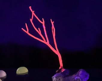 Orange Glow in the Dark Resin Coral Reef Fish Tank Ornament - Ultraviolet Fake Aquarium Terrarium Luminous Decor