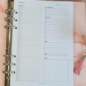 Daily Planner Inserts A5, A5 Filofax Inserts PRINTED, 7 Day Planner, Day on one Page Planner, Half Hour Planner Refill, To Do List, A5 DO1P