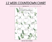 Printable Weight Loss Chart, 12 Week Countdown Tracker, Digital Instant Download PDF, Weight Loss Tracker, Goodnotes, Health Tracker