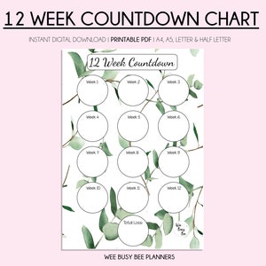 Afdrukbare gewichtsverliesgrafiek, 12 weken countdown-tracker, digitale pdf-direct download, gewichtsverliestracker, Goodnotes, gezondheidstracker