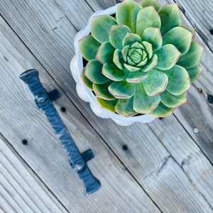 May include: A green succulent plant with red edges on the leaves is potted in a white ceramic pot with a textured surface. The pot is sitting on a wooden surface.