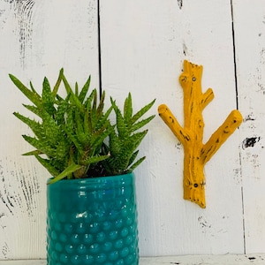 May include: A yellow cast iron tree branch wall hook with a green glass planter with a succulent plant.