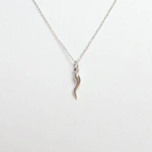 14k White Gold Italian Horn Necklace: Mini Cornicello Charm