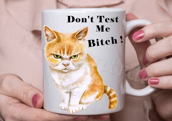 Tazza di gatto scontroso, tazza di caffè per gatti divertente, non