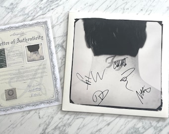 The Foo Fighters | the Foo Fighters | the Colour & the Shape