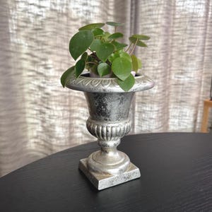 May include: A small green plant with round leaves in a silver-colored urn-shaped planter. The planter has a decorative rim and sits on a square base. The background features a neutral-toned curtain.
