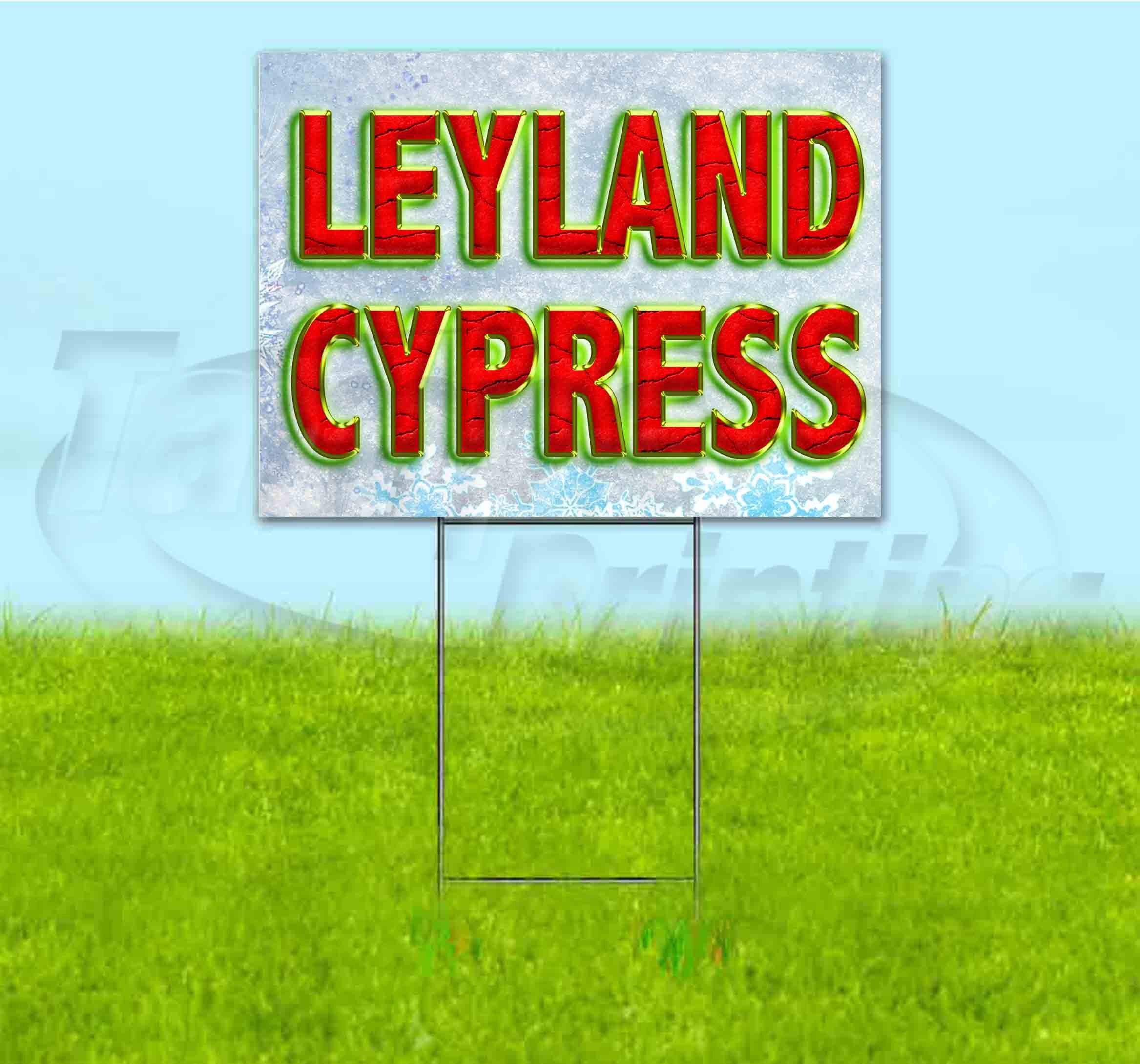 Leyland Cypress 13 oz Banner Non-Fabric Heavy-Duty Vinyl Single-Sided with Metal Grommets Leyland Cypress 13 oz Banner Non-Fabric Heavy-Duty Vinyl Single-Sided with Metal Grommets