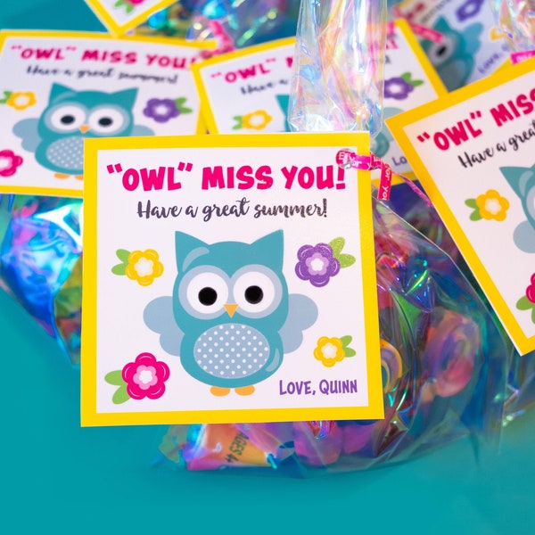 Owl Miss You, Summer Break Gift Tag Template, Teacher Student School Gift Tag, Last Day of School, Teacher tag, Editable File, Printable