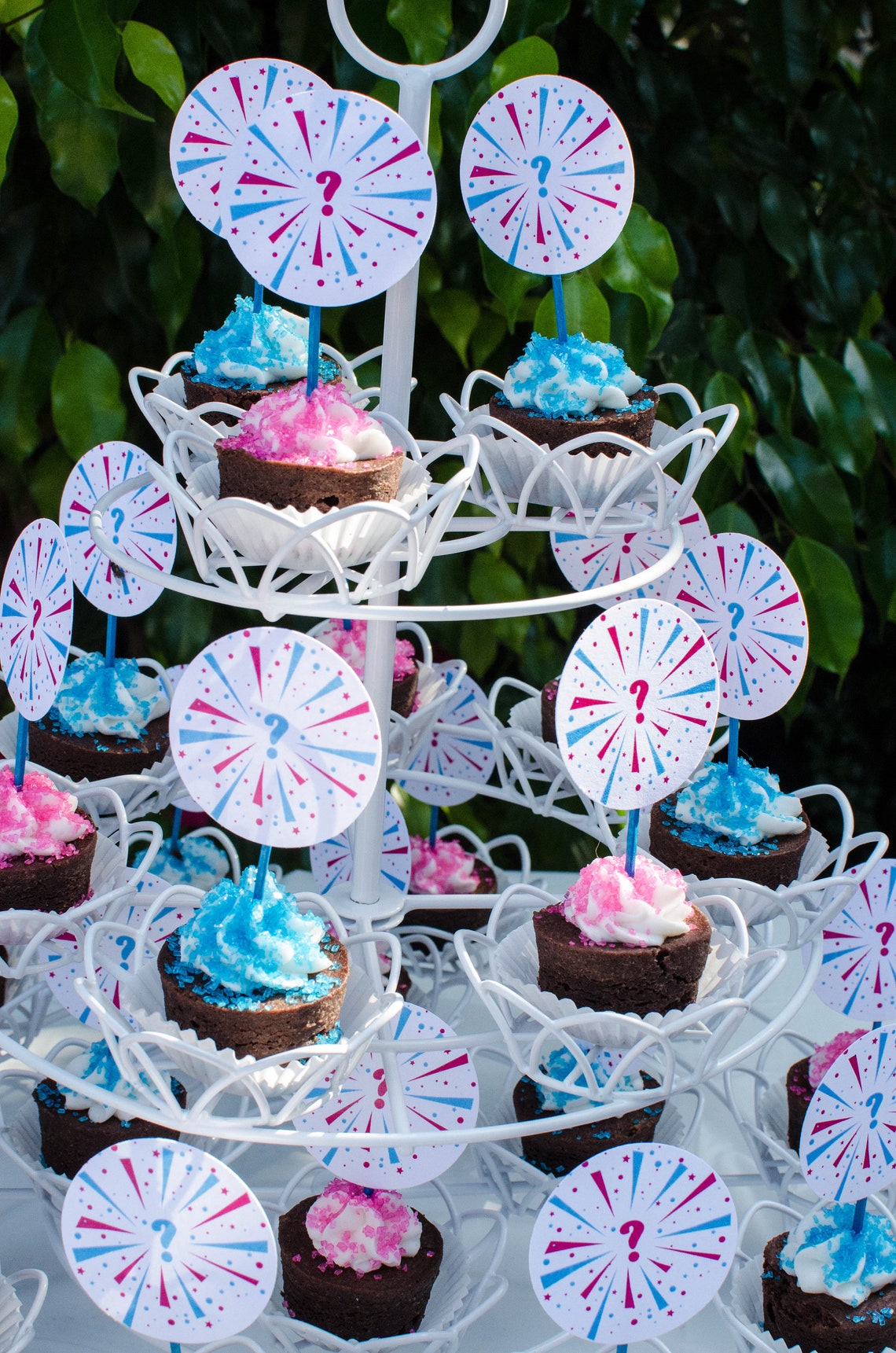 Fireworks Gender Reveal Kit Gender Reveal Invite Fireworks Etsy