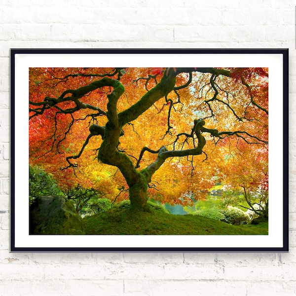 Botanical Print ~ Fall Nature Print ~ Japanese Maple Tree ~ Garden Decor ~ Large Printable Poster ~ Digital Download ~ Home Decor
