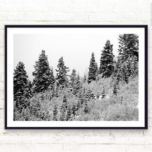 Black and White Forest Printable Snow Forest Landscape - Etsy