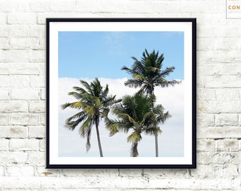 Palm Tree Print ~ Tropical Wall Art ~ Hawaii Photograph ~ Printable Large Poster ~ Green Plant Print ~ Digital Download ~ Modern Decor