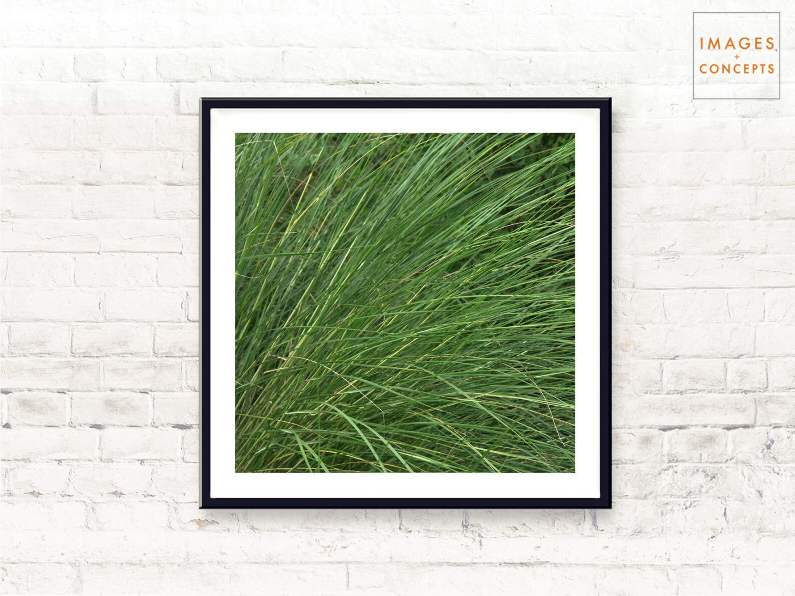 Green Grass Art Print Tropical Wall Art Nature Photograph Etsy España