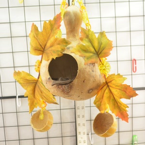 Sugar Glider Toys, Hanging Gourd, Small Bird Toy, Primate Toy, Marmoset Toy, Exotic Animal Toy, Small Pet Toy, Parrot Toy,