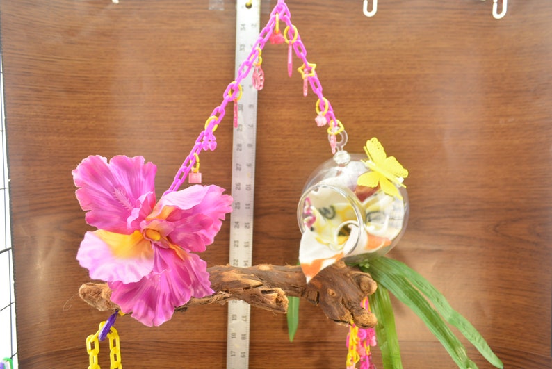 Grapevine wood Sugar Glider Toys Bird Toy 389Pink Iris image 1