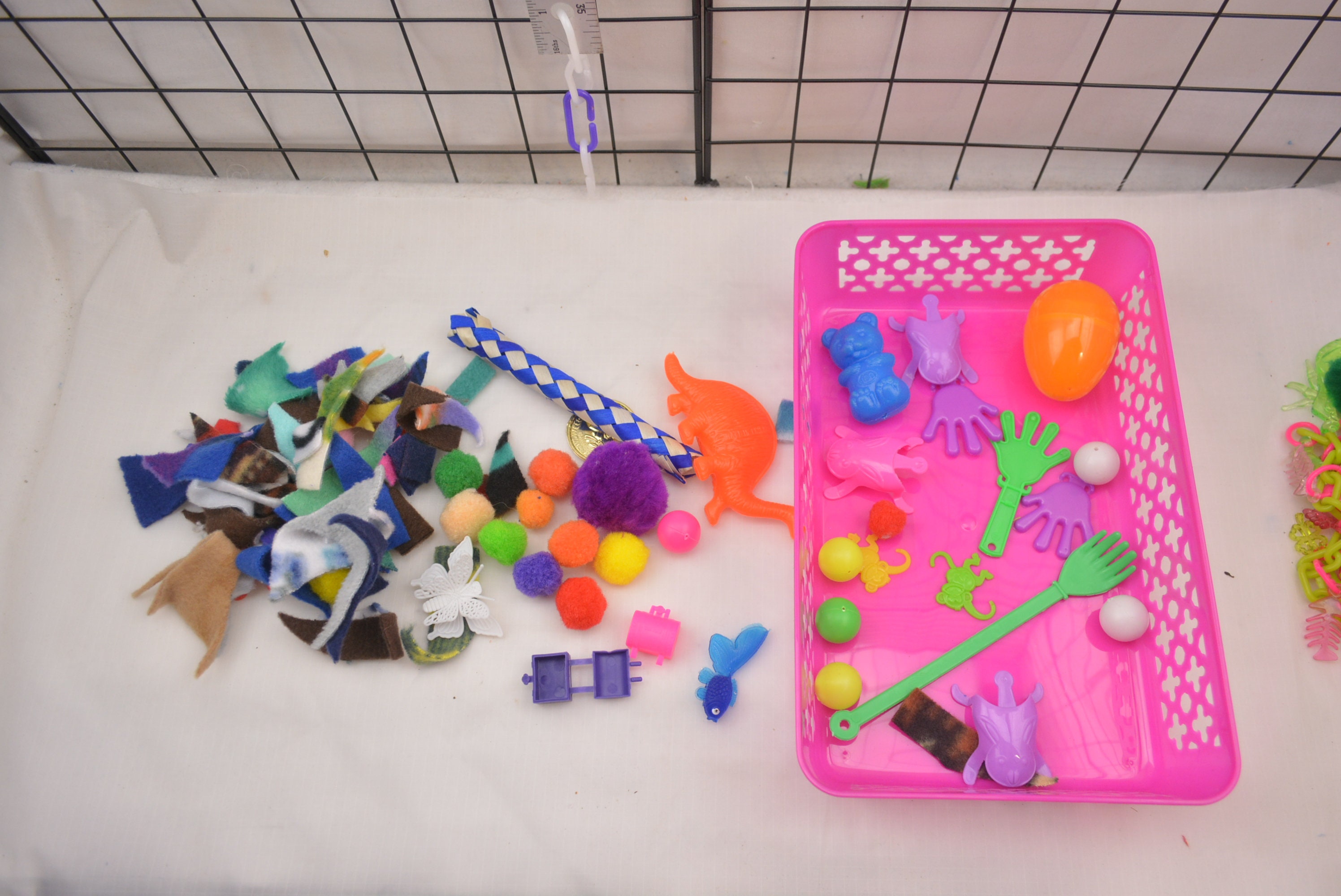 Deluxe Sugar Glider Toy Box Sugar Bear Toy Pocket Pet Toy Etsy