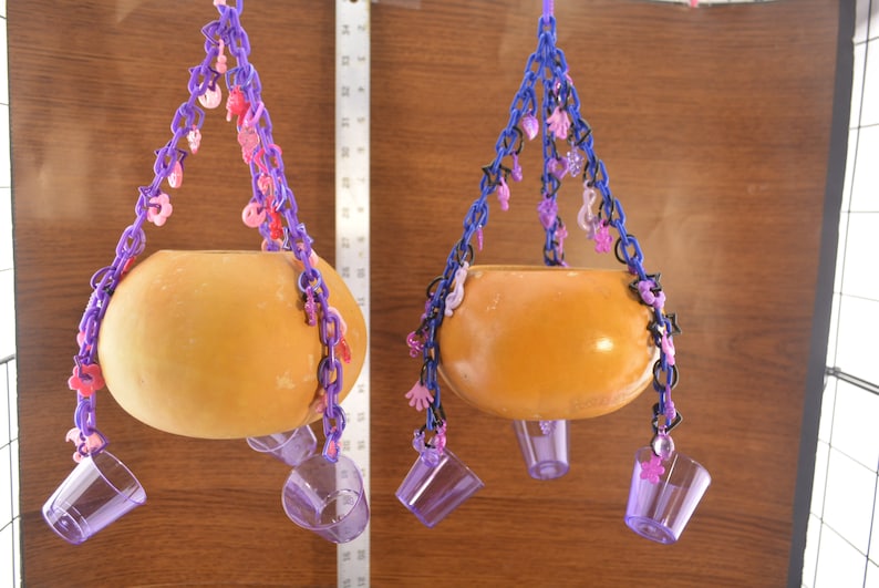 Sugar Glider Toys Hanging Gourd 311 Small Bird Toy image 1