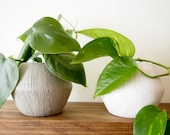 White Ceramic Pot, 4 quot Textured Ceramic Planter, Grey and White Available