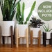 Indoor Planter, Wooden Plant Stand with Pot, Pot Stand, Wood Decor