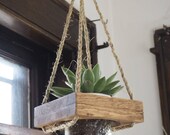 Modern Mason Jar Hanging Planter for Indoor Plants