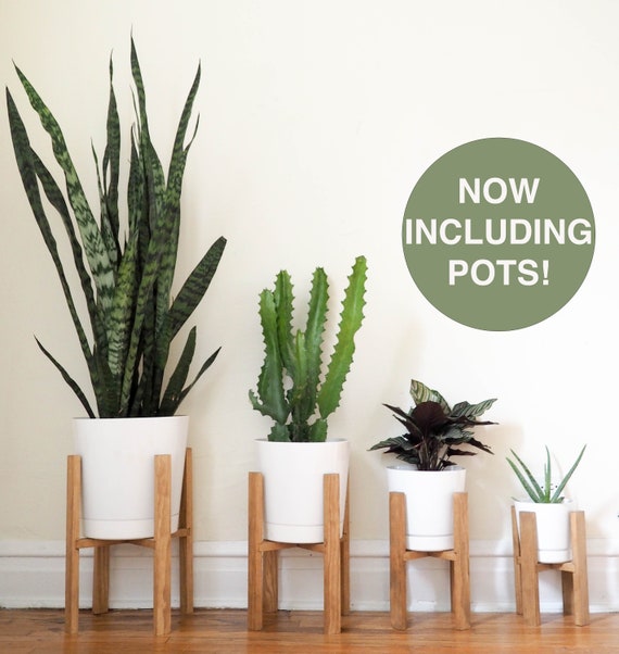 Mid Century Modern Plant Stand Wooden Indoor Image 0