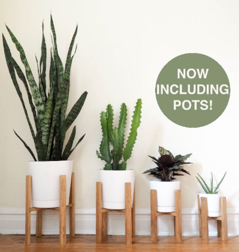 Modern Wooden Plant Stand With Pot Multiple Sizes And Colors Image 0 Light Brown
