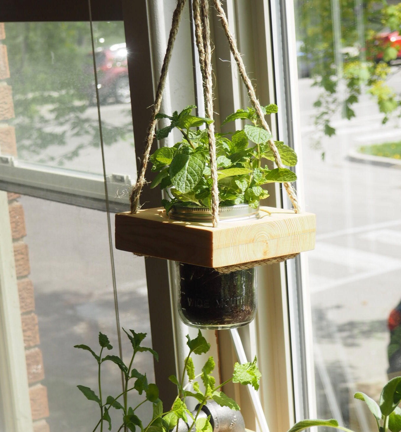 Modern Mason Jar Hanging Planter for Indoor Plants Etsy