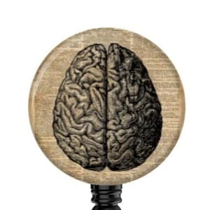 May include: A round, vintage-style badge reel featuring a detailed illustration of a human brain. The brain image is in black and white, set against a background of aged paper. The reel has a black retractable cord and a metal clip.