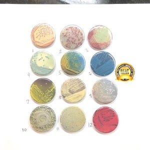 Microbiologist CDC image badge reel unique coworker gift idea retractable lanyard petri dish smear streak plate bacteria growth pattern gump