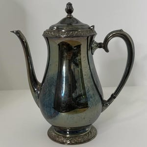 May include: A silver-colored teapot with a curved spout and handle. The teapot has a lid with a decorative finial and sits on a detailed base. The surface reflects the surrounding environment.