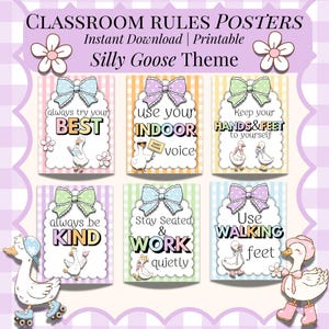 Classroom Expectations and Classroom Rules Printable Signs Classroom Decor Silly Goose Classroom Theme Class Rules Editable Digital Download