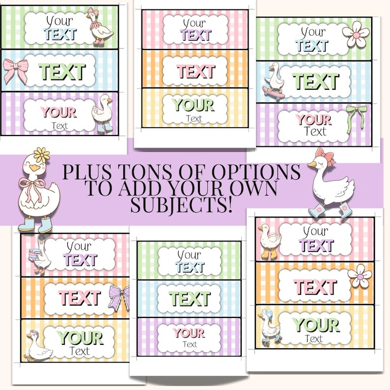 includes options to add your own subjects to create a custom class schedule