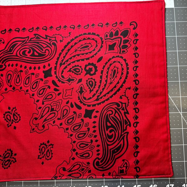 Red Bandana Pocket Square, Large 11in, Hank with Black Cotton Backing