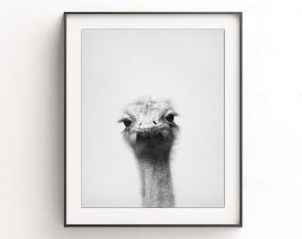 Struzzo stampa struzzo parete art nursery stampa digitale stampa digitale scaricare stampabile nursery arredamento animale stampa foto in bianco e nero minimalista