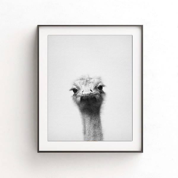 Ostrich print ostrich wall art nursery print digital print download printable nursery decor animal print black and white photo minimalist