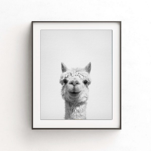 Alpaca print alpaca wall art nursery print alpaca art printable poster nursery decor digital download animal print black and white photo