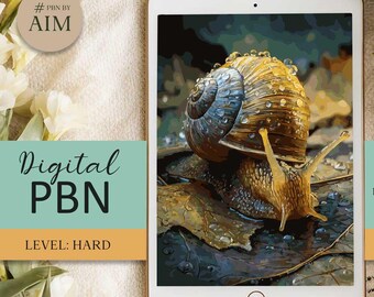 Snail - Digital Paint By Numbers for Tablet or Phone