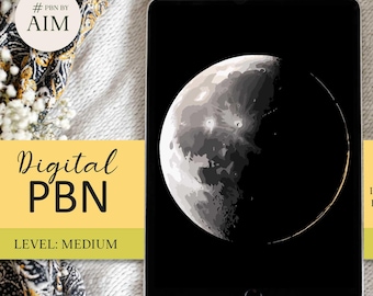 Moon Paint by Numbers, Space Art, Relaxing Digital Coloring (Digital Download))