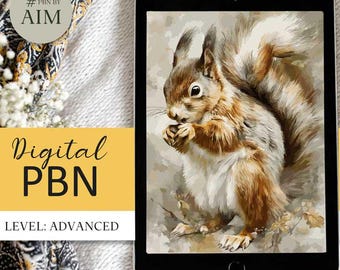 Red Squirrel Paint by Numbers, Irish Wildlife Art (Digital Download, A2 Size Canvas)