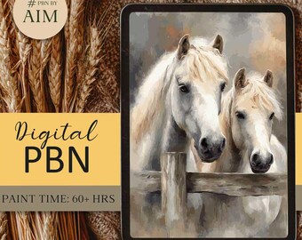 Connemara Ponies Paint by Numbers, Irish Equestrian Art (Digital Download A2 Size PSD File)