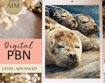 Irish Seals Paint by Numbers, Coastal Wildlife Art (Digital Download, PNG Template A2 Size )