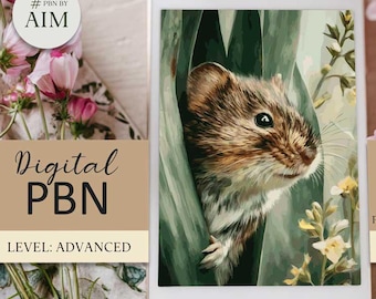 Field Vole Paint by Numbers, Irish Wildlife Digital Art (PNG Download A2 Size)