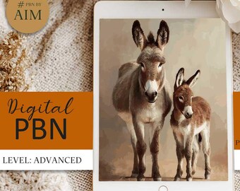 Donkey Paint by Numbers, Irish Farm Digital Coloring Kit (Digital Download, A2, PNG)