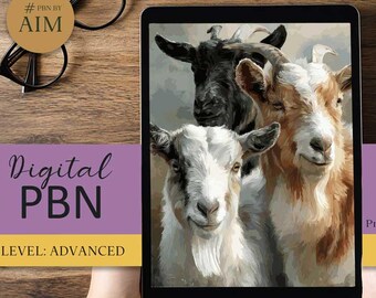 Irish Goats Paint by Numbers, Farm Animal Portrait (Digital Download PNG A2 Size )