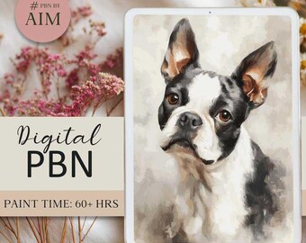 Digital Paint by Numbers Boston Terrier Dog  –  Digital Painting Kit
