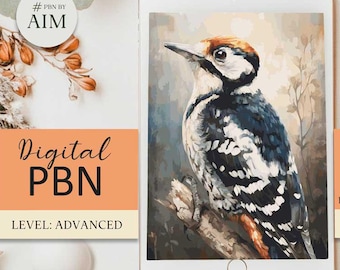 Woodpecker Paint by Numbers, Irish Bird Art, Tablet Painting Kit (Digital Download PNG A2 PSD File)